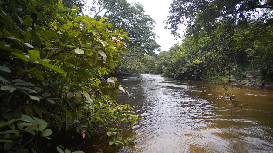 Baignade dans la rivière