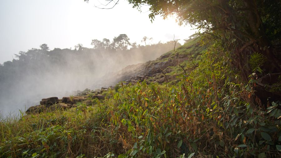 La brume des chutes de Zongo au-dessus de la végétation