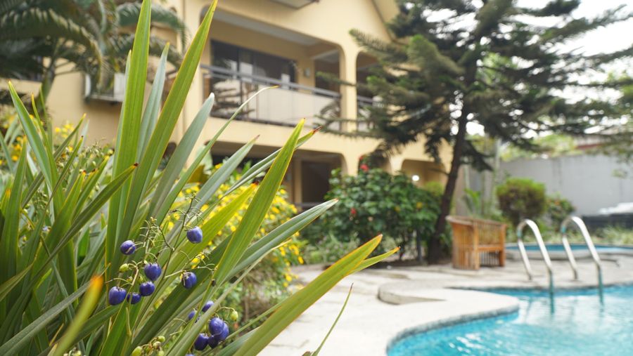 Le jardin