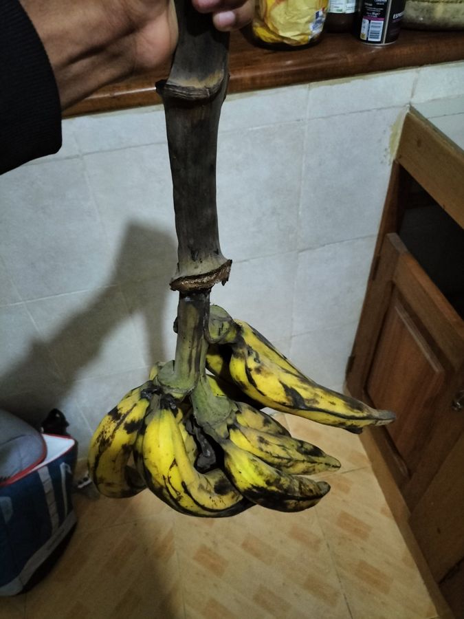 Régime de bananes