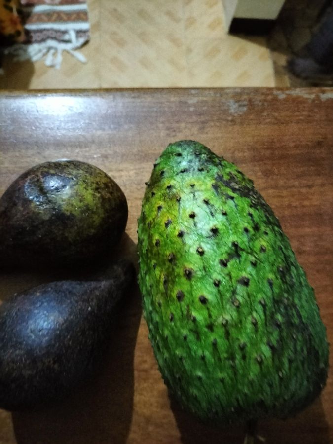 Avocats et corossol
